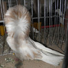 Picture 046
