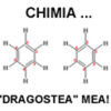 dragusteamea