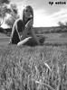~Hellow~