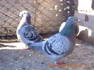 IMG_2365 M 2007 F 2009