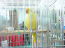 P1200959