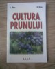 Cultura prunului