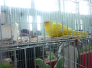 P1200958