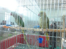 P1200960