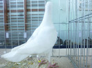 P1210010