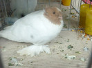 P1210031