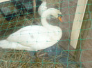 P1210032