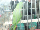 P1210037