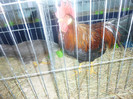 P1210053