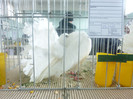 P1210079