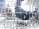 P1210099
