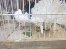 P1210107
