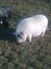 Image0971