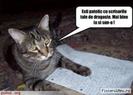 images (91)