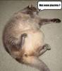 images (95)