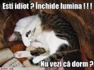 images (96)
