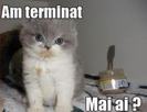 jhfg