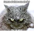 miti nervoassa