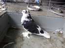 Photo0344
