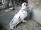 Photo0347