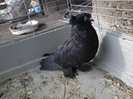Photo0349