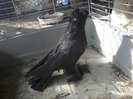 Photo0352