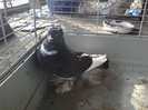 Photo0353