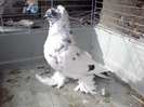 Photo0359