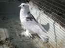 Photo0362