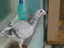 Imag010