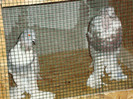 DSC00537