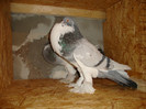 DSC00544