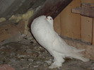 DSC00655