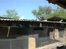 DSC00808