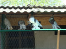 DSC00814