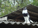 DSC00880