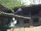 DSC00890
