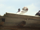 DSC00902