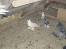 DSC01544