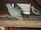 DSC01563