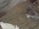 DSC01588