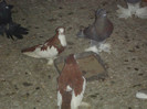DSC01601