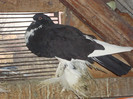 DSC01614