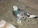 DSC01618