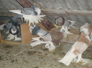 DSC01624