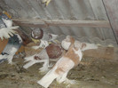 DSC01625