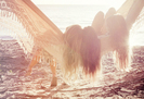 tumblr_ly7ks2CIvW1qam6r1o1_500_large