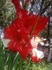 47821034_LECMKEMPP