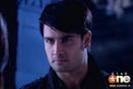vivian dsena