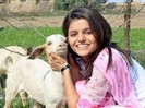 163100-rubina-dilaik